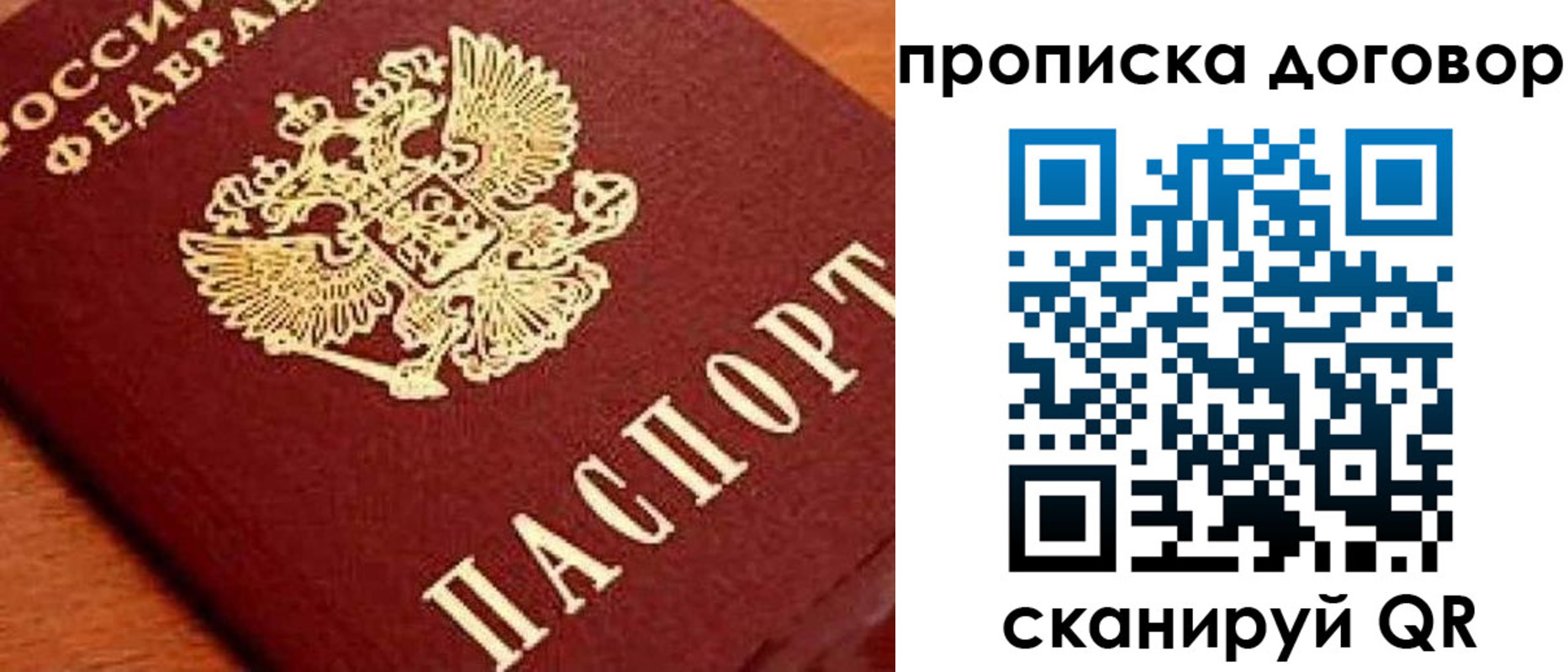 прописка поиск в Лыткарино